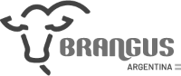 Logo-Brangus1