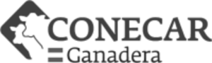 conecar1
