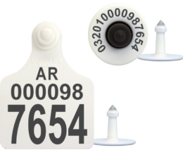 binomio oficial electronico hasta los bordes